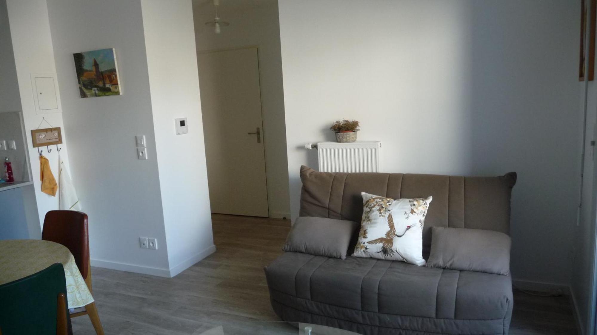 Апартаменты Pour Visiter Ou Travailler Dans Le Loiret Сен-Жан-де-Брей Экстерьер фото