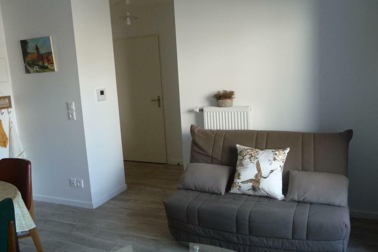 Апартаменты Pour Visiter Ou Travailler Dans Le Loiret Сен-Жан-де-Брей Экстерьер фото